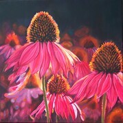 Canadian Cone Flowers, Oil, 24x24, SOLD