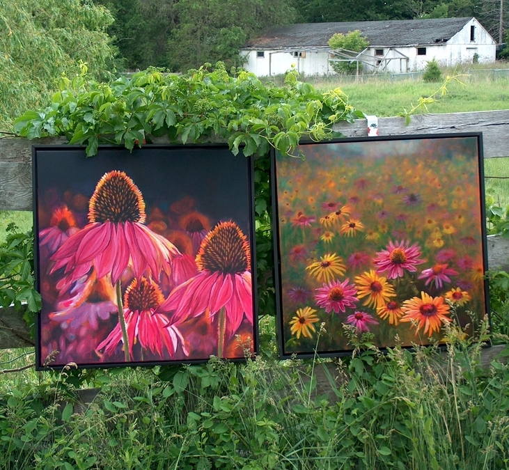 Canadian Wildflowers, in the wild