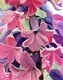 Hyacinth, Oil 16x20 SOLD