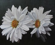 "Lazy Daisies", Oil SOLD