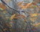Life of a Leaf, Oil, 24x30, $950