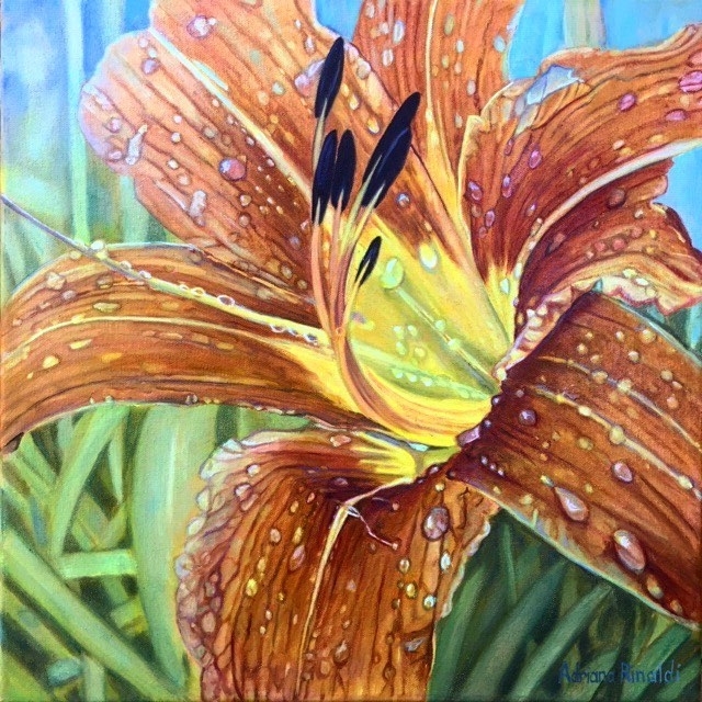 LIly Dew, 16x16, Oil