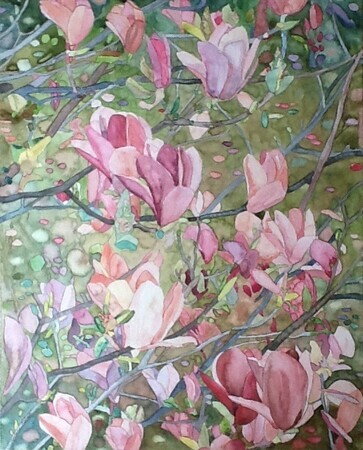 Magnolia Dyptych (left side), Watercolour on Canvas