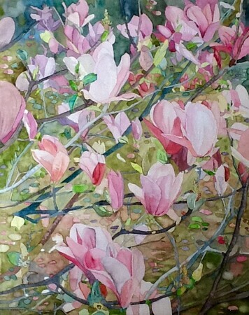 Magnolia Dyptych, (Right Side) Watercolour on Canvas