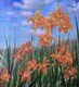 Orange Lillies, 30x30, oil,