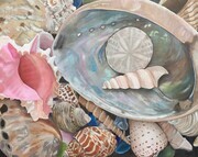"Seashell Symphony", Oil, 24x30, with frame $1,250 email arty.adri@live.com