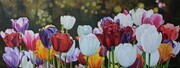 Springing into Action, Oil, 18x48, SOLD