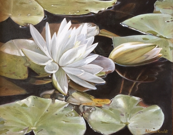 Study for "Margo's Monet Moment", Oil, 16x20