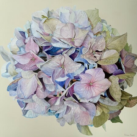 “Touchingly Delicate”, Oil, 40x40, $2400, available through Summer&Grace Gallery