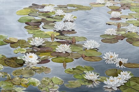 Tranquil Transformation, 48x72, Oil, COMMISSION SOLD