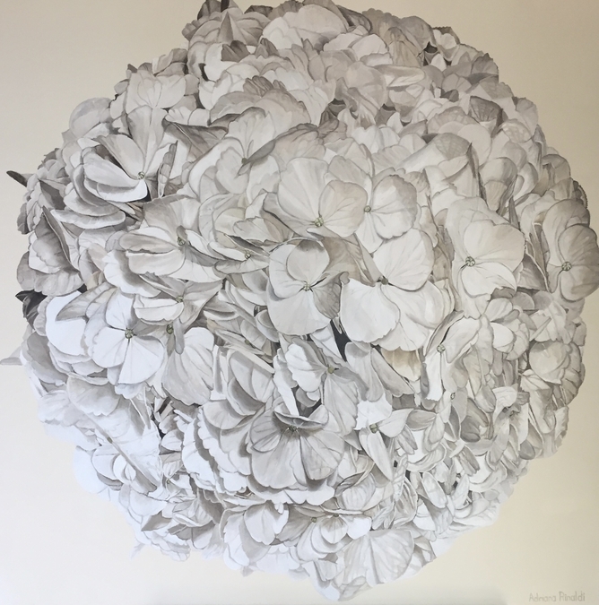 Vanilla Cream, Oil, 36x36 (background colour can be custom painted to suit) - SOLD