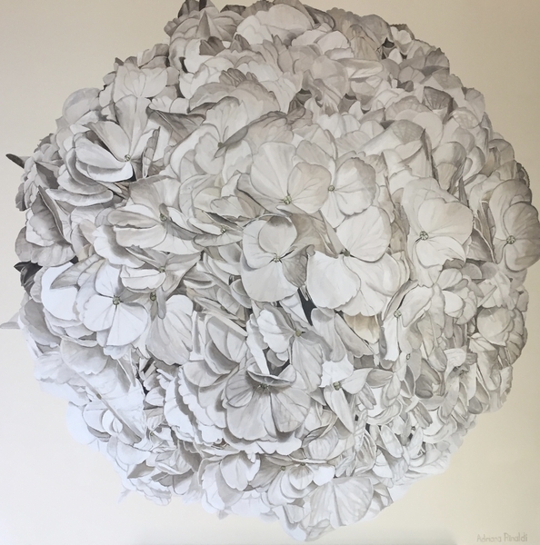 Vanilla Cream, Oil, 36x36 (background colour can be custom painted to suit) - SOLD